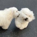 자담 한의원 이미지