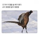 진진약국 | [일상] 미리 메리 크리스마스