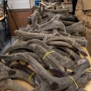 안심부부한의원 이미지