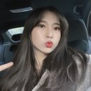 애교래쉬
