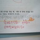 자꾸 Daum카페