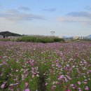 탄금공원 이미지