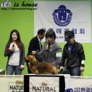 오스카 - 평창군 진부중앙로 62-4 | 오스카