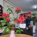 베로니스공인중개사사무소 이미지