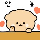 파인샌드 이미지