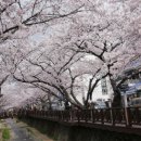 삼익2차아파트정문 앞 이미지