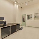 뽀삐애견 이미지