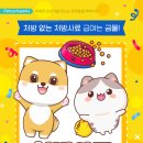 강서 더힐 동물병원 이미지