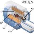 자기공명영상[magnetic resonance imaging] 이미지