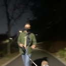 복자 이미지