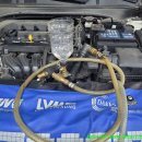 블루크리닝 이미지