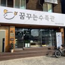 꿈꾸는수족관