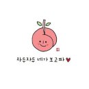 1004데이 = KNK데이❤️ 이미지