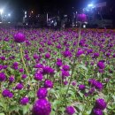 킬라그램콘서트 이미지