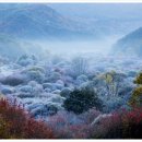 비밀의 정원 이미지