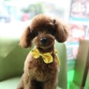 제리 - 광주시 회안대로616번길 35 | 제리