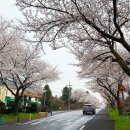 오등상동경로당 이미지