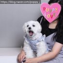 7번째 구름이 생일, 스튜디오 촬영 후기