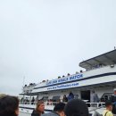 군산항7부두운영(주) | 보스턴 고래 투어 후기 Cape Ann Whale Watch에서 만난 감동의 순간 예약·요금 총정리