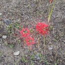 세븐일레븐 마산석전향기점 | 10월 일상(1001 ~ 1016)