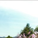 오롯이, 나를 위한 글쓰기 시간 이미지