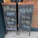 비비테일러 이미지