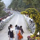 장터1길 이미지