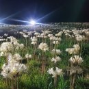 무등펜션 이미지