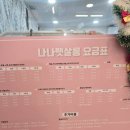 나나펫살롱 이미지