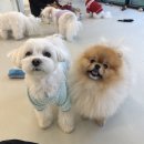 멍플레이 이미지