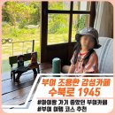 치자 | 부여 수북로1945 카페 아이랑 다녀온 후기｜조용한 감성 카페 추천