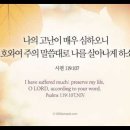 오늘의 '영어성경 사진'(860강) “내 생명을 지켜주세요”(시편 119편 107절) 이미지