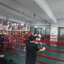 충의복싱체육관 이미지