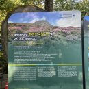 한라산국립공원관음사지구야영장 | [제주도] 한라산 관음사 코스 등반기 🏔 백록담 정복 성공!