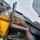 고양이사랑채 이미지