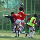 김태영축구장 이미지