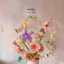 비바체75