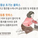 더파스