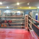 팀제이티 복싱센터 이미지