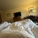 11650-7-8-5 | 그랜드하얏트 이스탄불 7박 8일 후기 | 탁심광장 5성급 호텔 | 탁심 근처 숙소 추천 | 조식 카이막