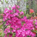 수목농장 이미지