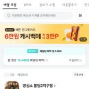양심소 이미지