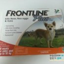 바우약국 이미지