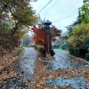 신토불이가든 이미지