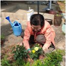 예산군광시보건지소 이미지