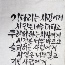 캘리그래피 Daum카페