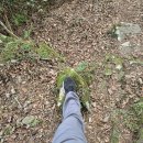 260617.두미도 천황산(470M) 산행 이미지