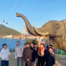 용인대 참샘 태권도 이미지