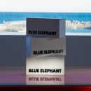 엘리펀트 마켓 이미지