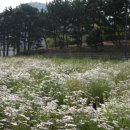 철길따라공원 이미지